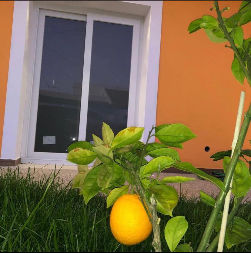 Orange Guest House Sagres Bagian luar foto